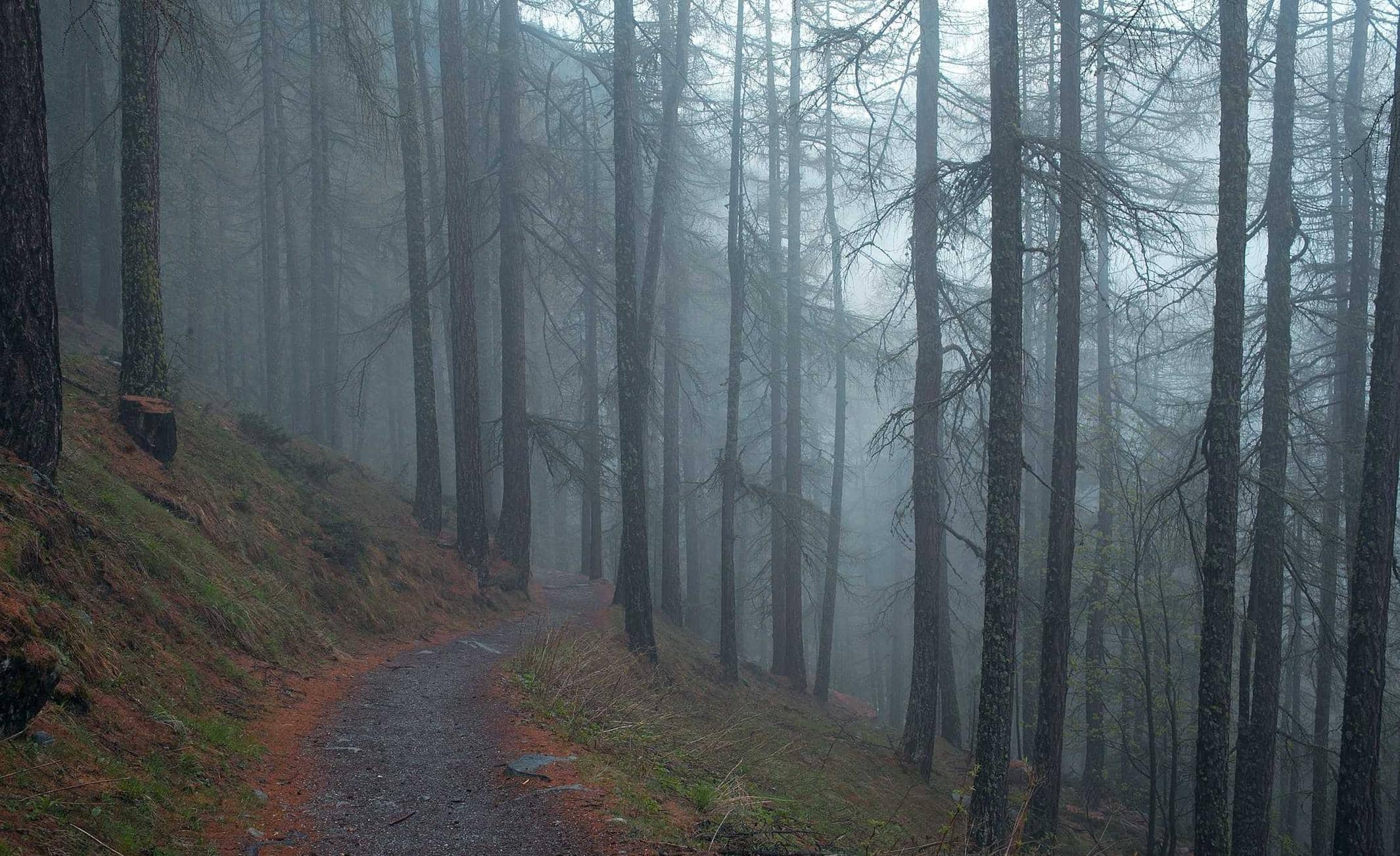 Test_WofuPIKhLs RPgAOMXJuN